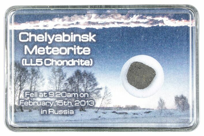 Oriented Chelyabinsk Meteorite ( g) - Witnessed Fall #284720